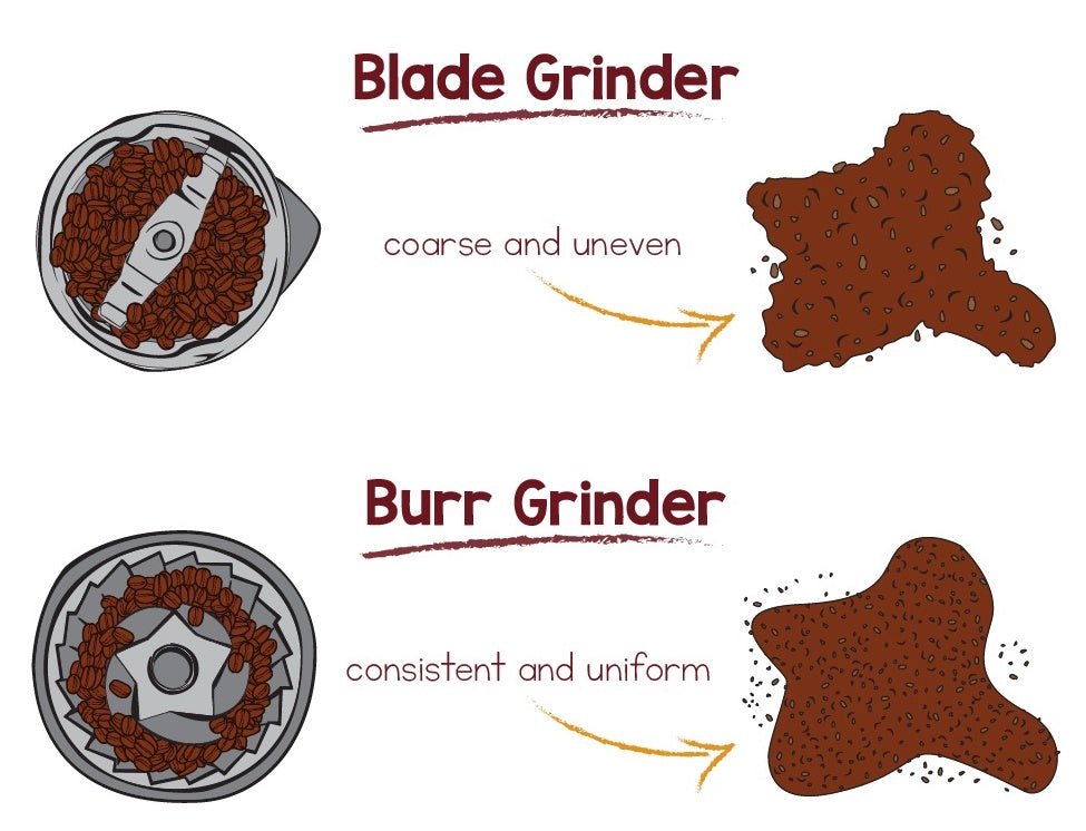 https://torque.coffee/cdn/shop/articles/bladevsburr-grinder-diagram_ebd1abec-6b81-47af-8d39-1687c50339b8.jpg?v=1741815236