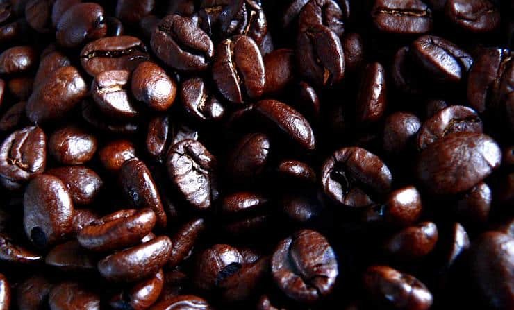 Why Is My Coffee Oily? Causes, Fixes, and What Oily Beans Really Mean